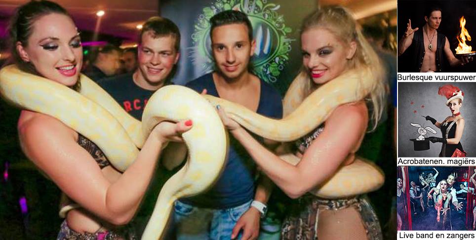 Wat is Burlesque?